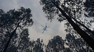 Blagon, le 31 juillet 2026, (AP Photo/Baz Ratner)