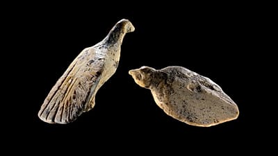 Des archéologues découvrent deux oiseaux sculptés dans de l'ivoire de mammouth dans la célèbre grotte préhistorique de Hohle Fels en Allemagne.