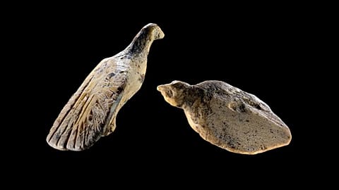 Archaeologists recently discovered two bird figurines carved from mammoth ivory in the famous prehistoric Hohle Fels cave in Germany.