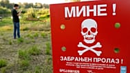 Bosznia-Hercegovina jelenleg a világ egyik leginkább aknaveszélyes országának számít. 