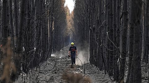France Wildfires