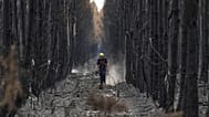A firefighter walks through a charred forest near Blagon, during wildfires, southwestern France, Friday, 31 July 2026.