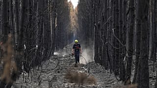 A firefighter walks through a charred forest near Blagon, during wildfires, southwestern France, Friday, 31 July 2026.