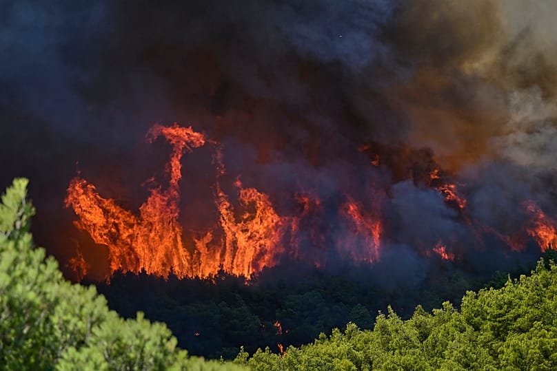 Las llamas arrasan un bosque durante un incendio cerca de Porto Germeno, al noroeste de Atenas, Grecia, sábado, 1 de agosto de 2026. 
