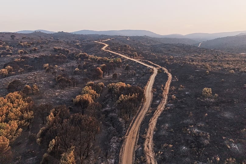 Vista de la zona arrasada por un incendio forestal en Villa del Prado, provincia de Madrid, España, jueves, 30 de julio de 2026.