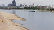Allemagne: le Rhin atteint un niveau historiquement bas à cause de la chaleur et de la sécheresse