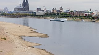 Rekordowo niski poziom Renu w Niemczech przez upały i suszę