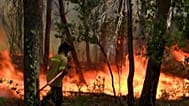A wildfire on the Greek island of Kefalonia triggers evacuations