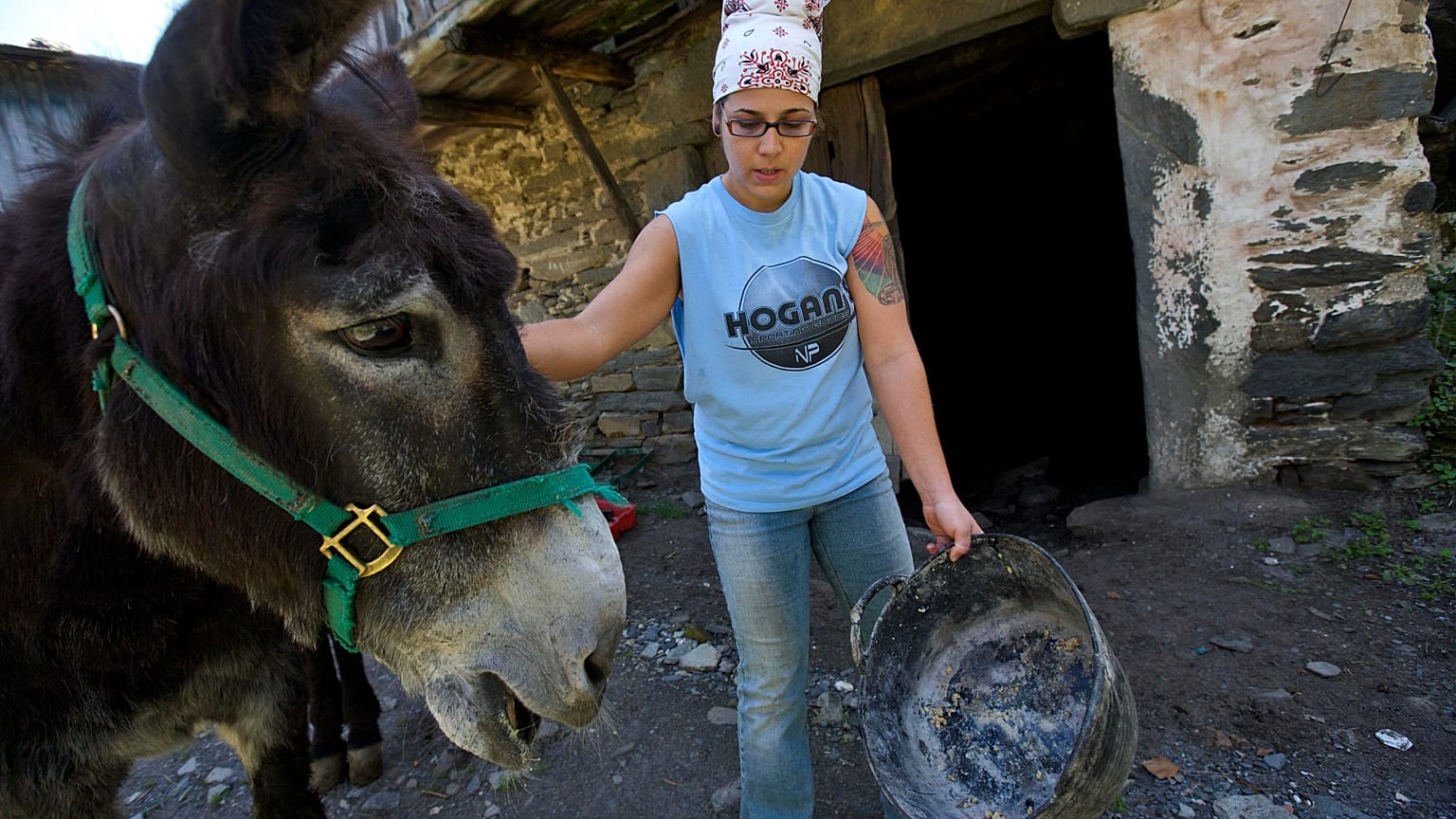 15 Haziran 2009 tarihli bu fotoğrafta, Nebraskalı Andrea Rivera, Galiçya'daki Santoalla do Monte'de bir çiftlikte, beslediği eşeği okşuyor.