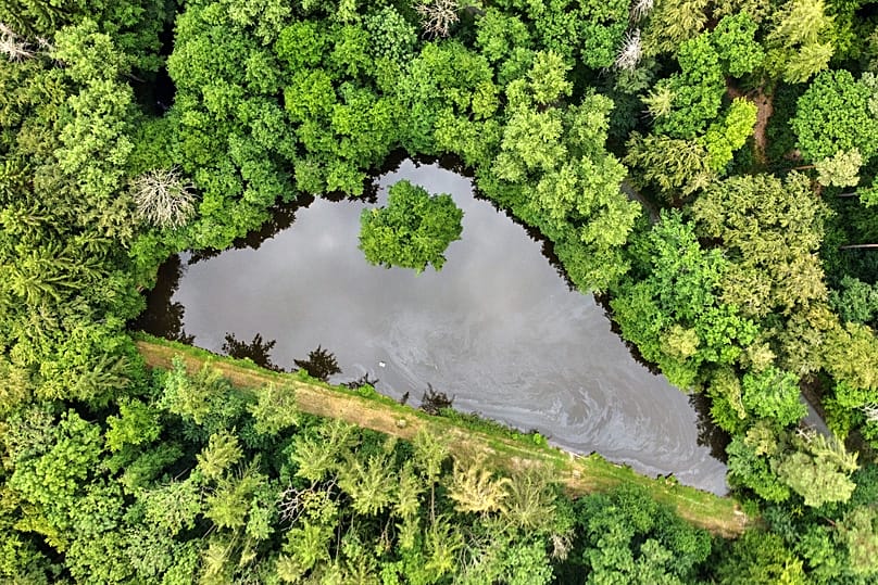 Kleiner See im Taunus bei Frankfurt, 7. Juli 2026 