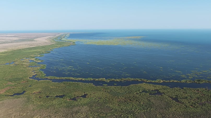 The Ile-Balkhash Nature Reserve was built 10 years ago specifically as a future home for tigers. 