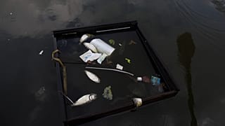Brésil : des cheveux recyclés pour dépolluer la baie de Guanabara