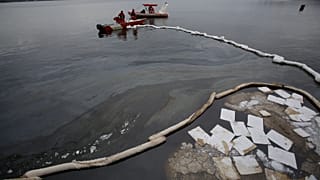 Brazilian firm uses hair to help clean up oil spills and pollution