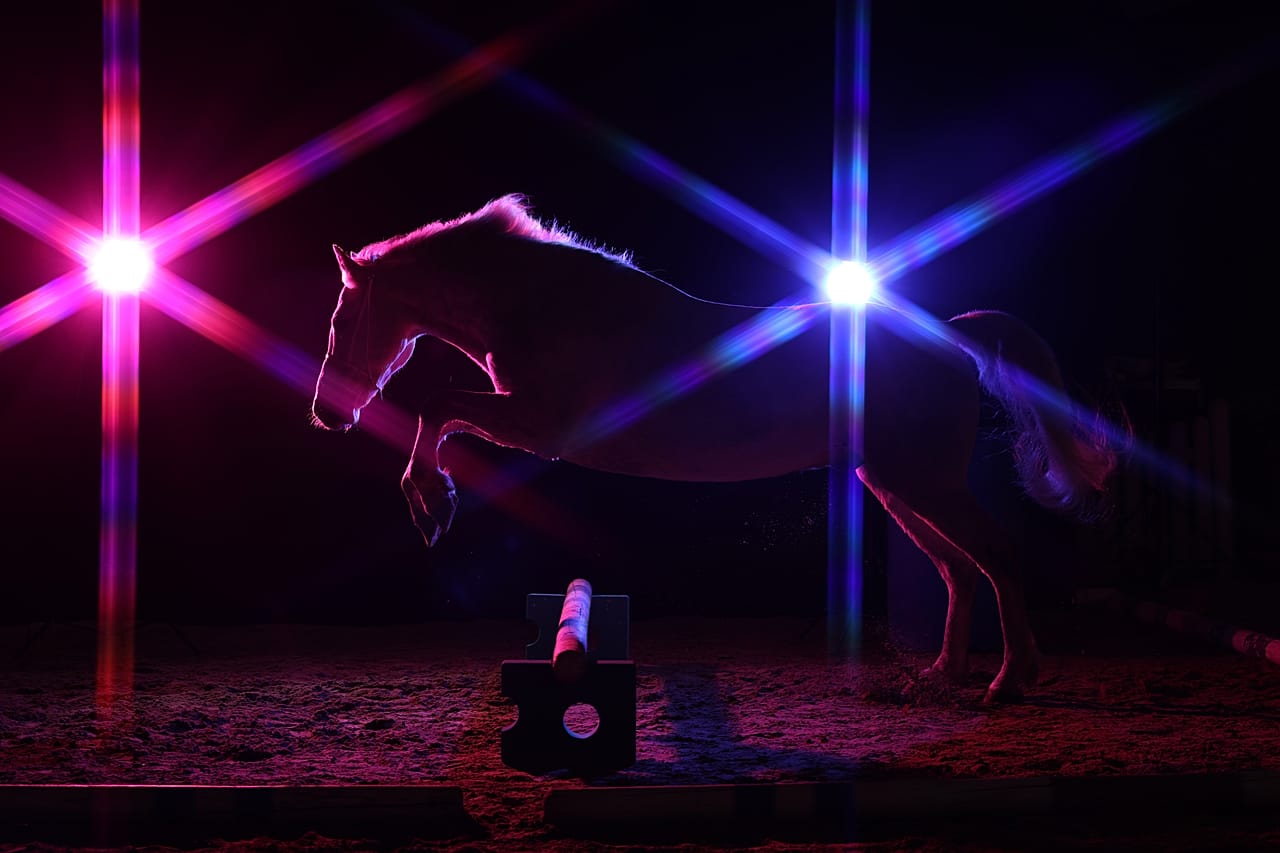 The award for In-Camera Artistry went to Germany's Andrea Zachrau