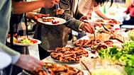 Forget ‘proteinmaxxing’: less protein could help healthier ageing.
