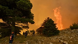 Πυροσβέστες επιχειρούν κοντά στο Πόρτο Γερμενό