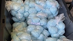 Fentanylhaltige Tabletten nach einer Sicherstellung der DEA in New Mexico am 28. April 2025.