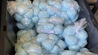 Fentanylhaltige Tabletten nach einer Sicherstellung der DEA in New Mexico am 28. April 2025.
