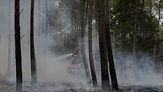 Des pompiers s'efforcent d'éteindre un incendie près de Blagon, dans le sud-ouest de la France, ce vendredi 31 juillet 2026.
