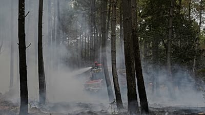 Los Bomberos intentan apagar un incendio cerca de Blagon, en el suroeste de Francia, el viernes 31 de julio de 2026.