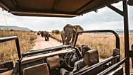 You could snap up a bargain safari on this travel booking resale platform