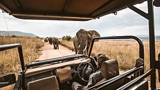 You could snap up a bargain safari on this travel booking resale platform