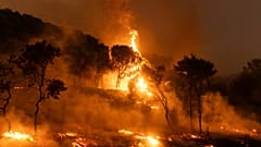 Symbolbild (Feuer in Griechenland 2023)