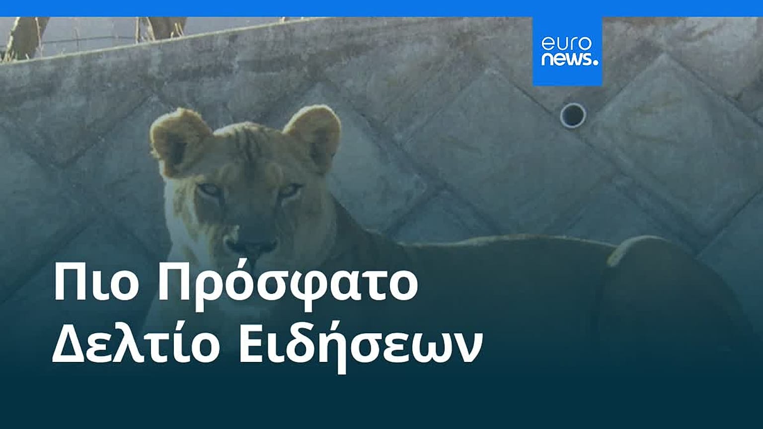 Ειδήσεις | 4 Αυγούστου 2026 - Βραδινό δελτίο