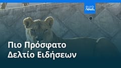 Ειδήσεις | 4 Αυγούστου 2026 - Βραδινό δελτίο