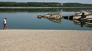 Tuna Nehri
