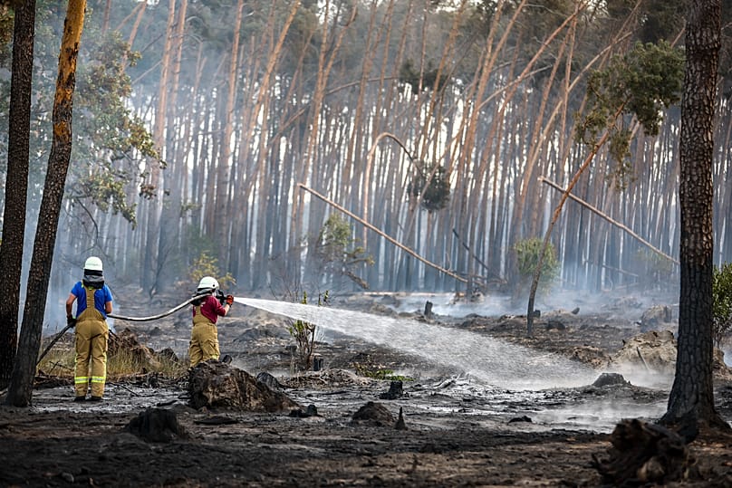 Die Feuerwehrleute in Brandenburg kämpfen 2022 gegen einen Großwaldbrand im Landkreis Elbe-Elster.