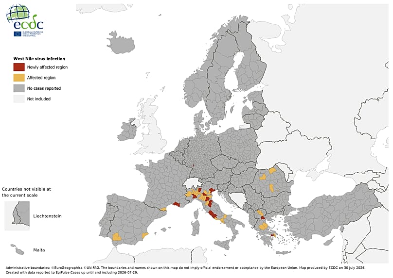 Mappa dei casi in Europa
