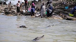 Kenya : la montée des eaux des lacs rapproche les crocodiles des populations