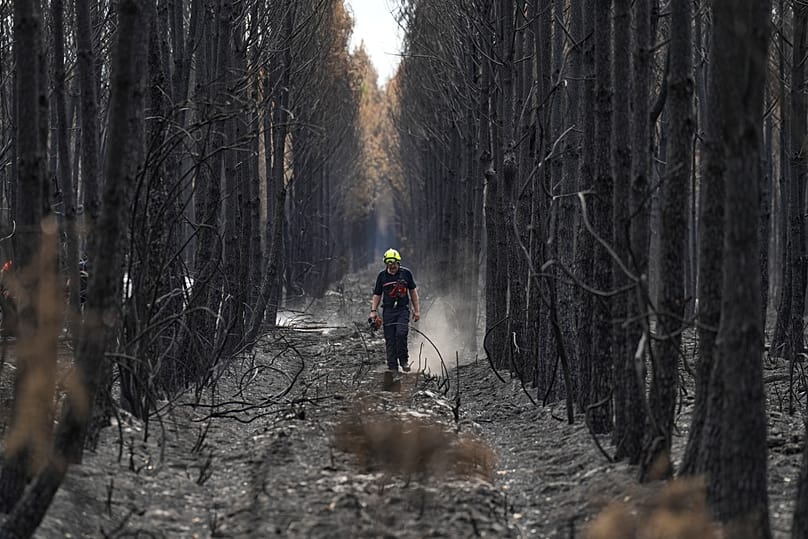 A firefighter walks through a charred forest near Blagon, 31 July, 2026