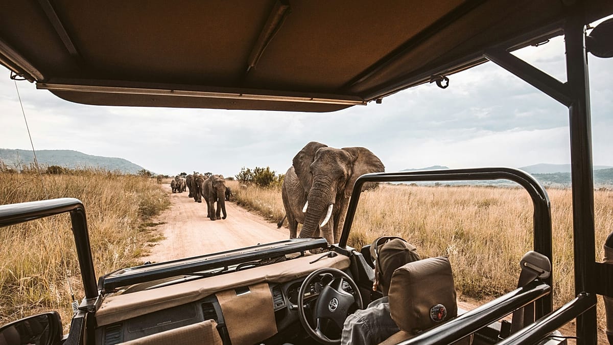 Travellers are embracing YOLO and JOMO but not FOMO, survey says Travellers are embracing YOLO and JOMO but not FOMO, survey says