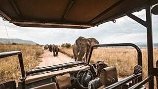 Experienced travellers are prioritising bucket list experiences, according to a new survey