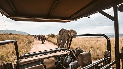 Experienced travellers are prioritising bucket list experiences, according to a new survey
