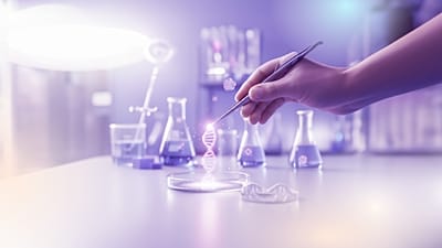 Laboratorio AI