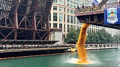 Mais de 90 mil patos de borracha são largados no rio Chicago no Chicago Duck Derby anual das Special Olympics Illinois, em Chicago, a 6 de agosto de 2026
