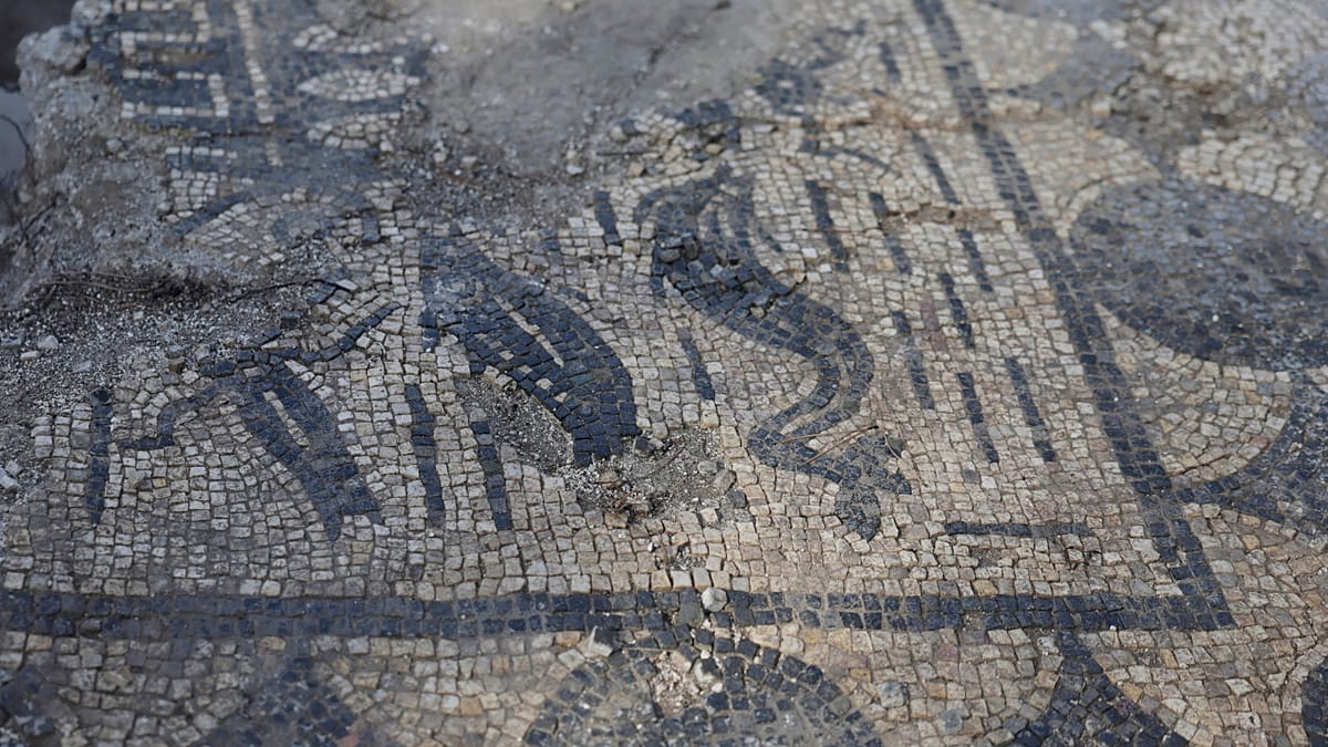 Surprise discovery as ancient domus uncovered beneath restoration site in Rome
