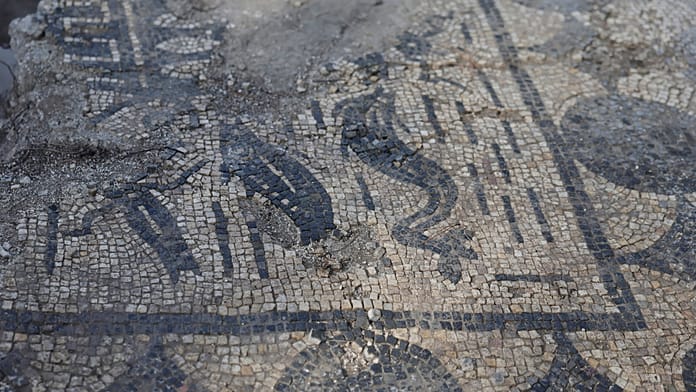 Surprise discovery as ancient domus uncovered beneath restoration site in Rome