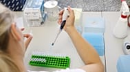 ARCHÍV FELVÉTEL: Kutatók E. coli-mintákkal dolgoznak egy molekuláris biológiai vizsgálat során a csehországi Brnóban.