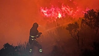 Bombero forestal luchando contra el fuego, 7 de agosto de 2026