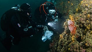 Η ομάδα που μετείχε στην έρευνα του FAO για τα ελληνικά κόκκινα κοράλλια αποτελούνταν από τους Σαλωμίδη, Γ.  Ίσσαρη, Β.Γερακάρη και Β.Γεροβασιλείου