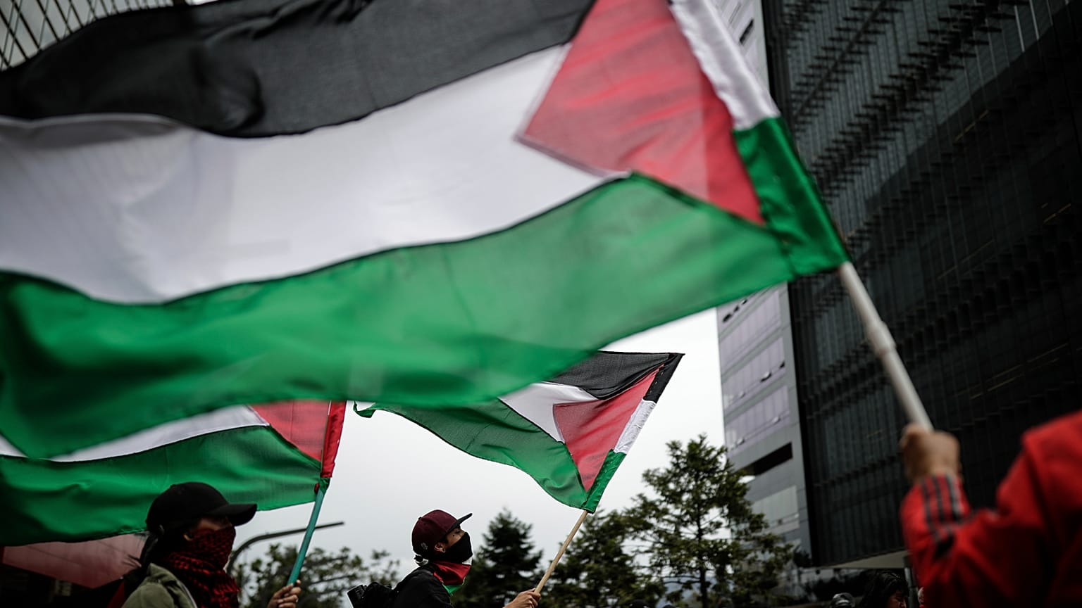 أنصار يلوحون بالأعلام الفلسطينية خلال احتجاج ضد الحرب بين إسرائيل وحماس، خارج السفارة الإسرائيلية