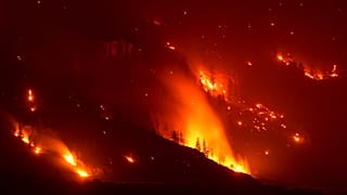 A kanadai tüzek egyike