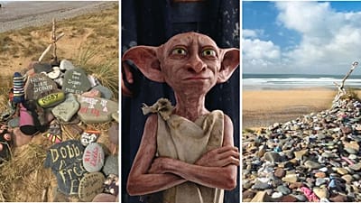 Fani Harry’ego Pottera wymuszają zmianę trasy kabla UK–Irlandia, by chronić „grób Zgredka”