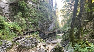 Bärenschützklamm, Ausztria