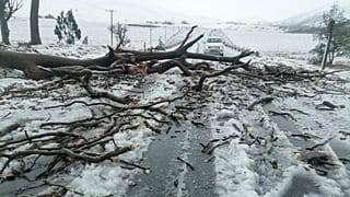 South Africa weather alert: snow, hail and icy roads disrupt travel