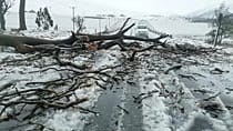 Afrique du Sud : une importante vague de froid perturbe les déplacements